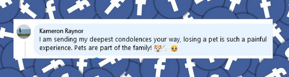 A fan sends their condolences to Meghan Markle and her family upon the death of their beloved beagle Guy, from a post dated January 7, 2025 | Source: Facebook:/cnn