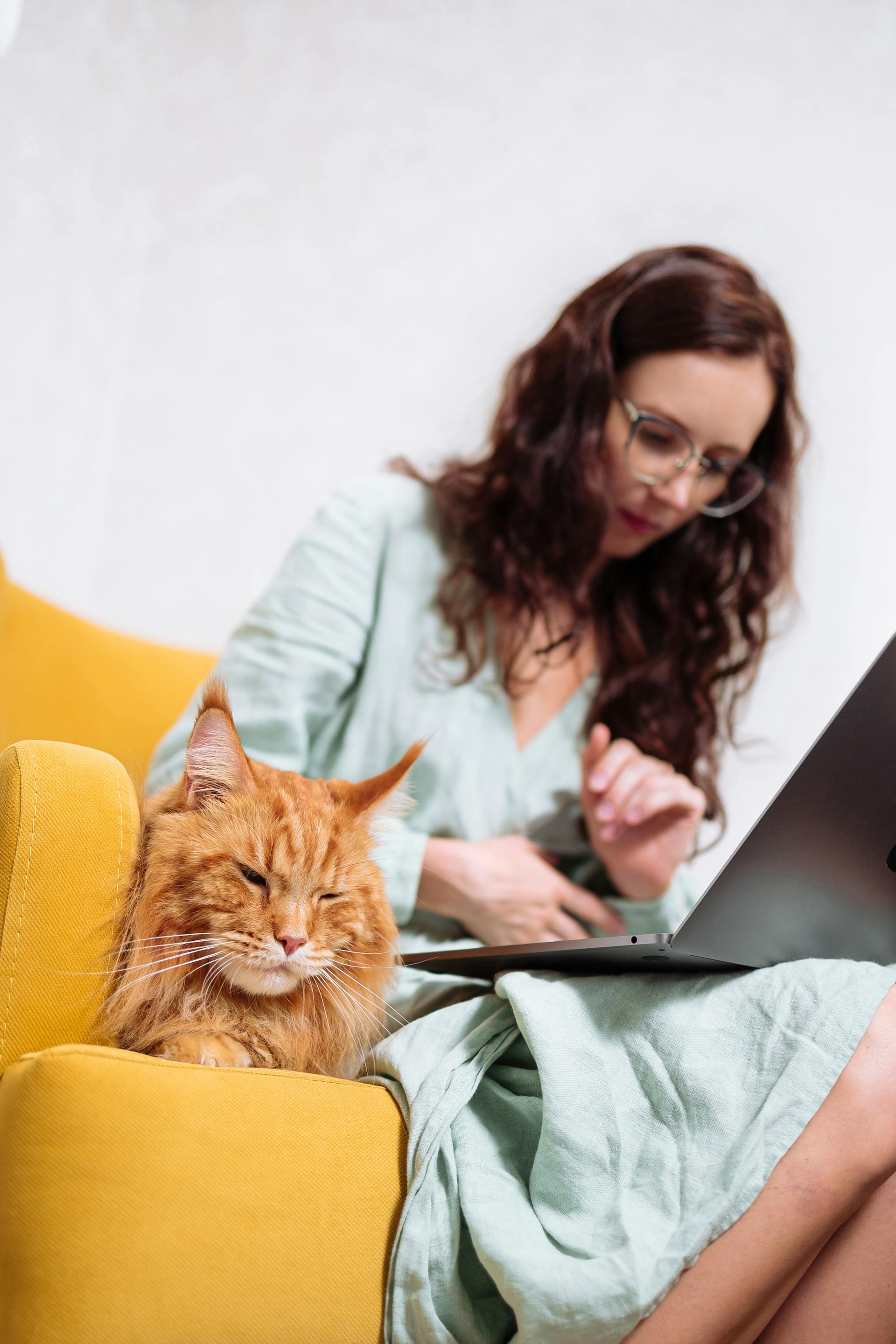 A woman sitting on the couch beside her tabby cat | Source: Pexels