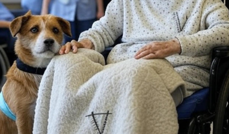 She Never Owned a Pet — But the Dog Who Showed Up at Her Door Was “The Colonel” to Her